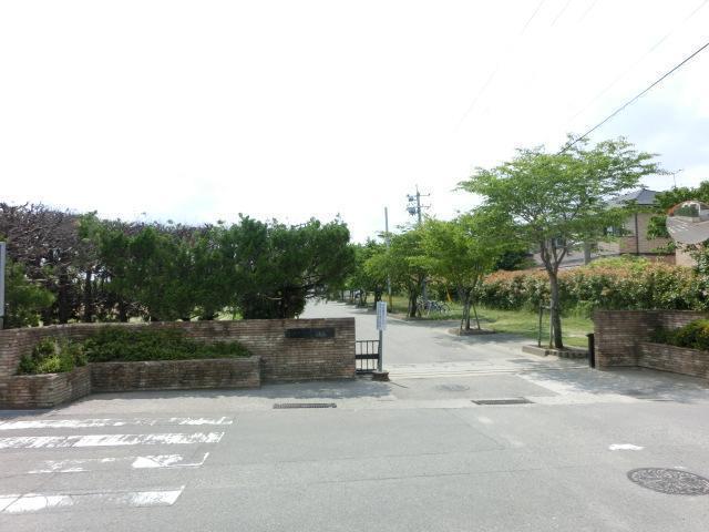 小学校　宮崎南小学校（小学校）まで336m