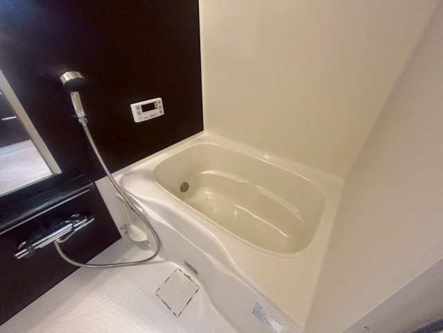 バス・シャワールーム　アレーヌコート金山