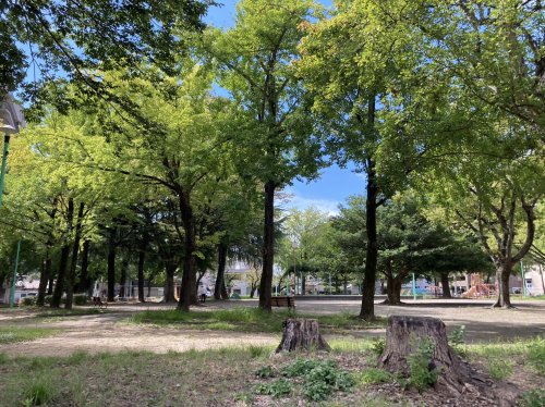 公園　正木公園（公園）まで366m