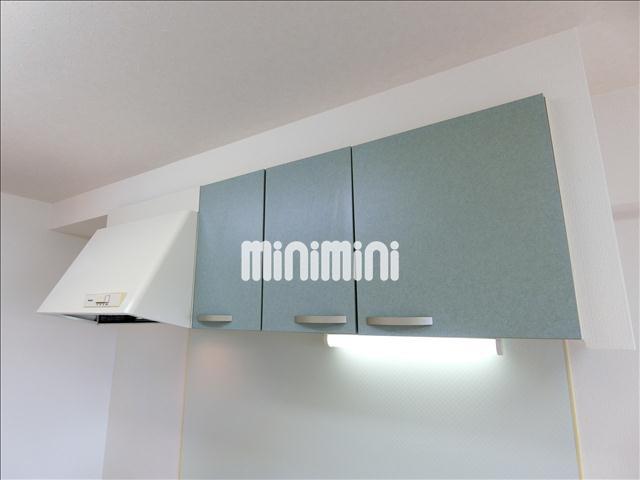 その他　シンクの上にも棚があります。