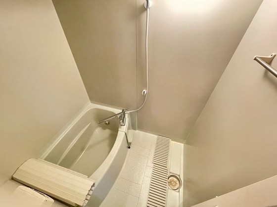 バス・シャワールーム　※別部屋の写真です