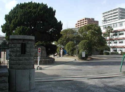 小学校　宇品小学校（小学校）まで520m