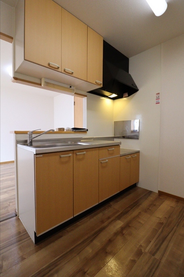 キッチン　他号室写真です