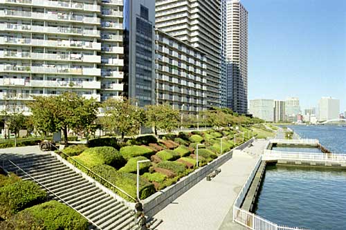 公園　石川島公園（公園）まで999m