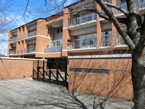 小学校　学校法人昭和学院 昭和学院小学校（小学校）まで462m