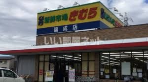 スーパー　新鮮市場きむら福成店（スーパー）まで994m