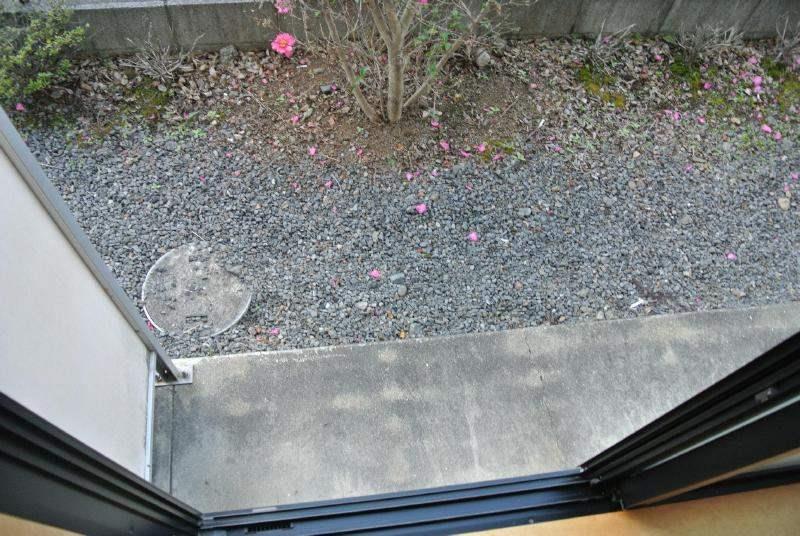 庭　テラス