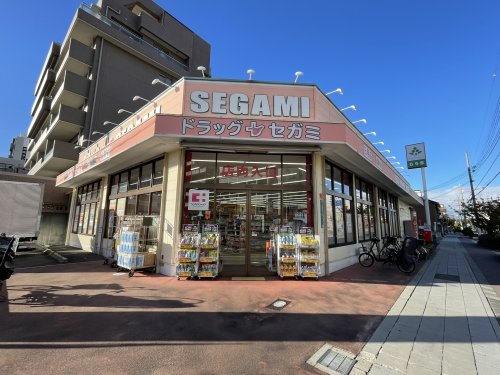 ドラックストア　ドラッグセガミ 内代店（ドラッグストア）まで307m