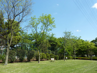公園　公園浅間第一公園（公園）まで1467m