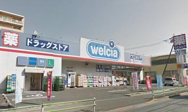 ドラックストア　ウエルシア葛飾立石店（ドラッグストア）まで336m