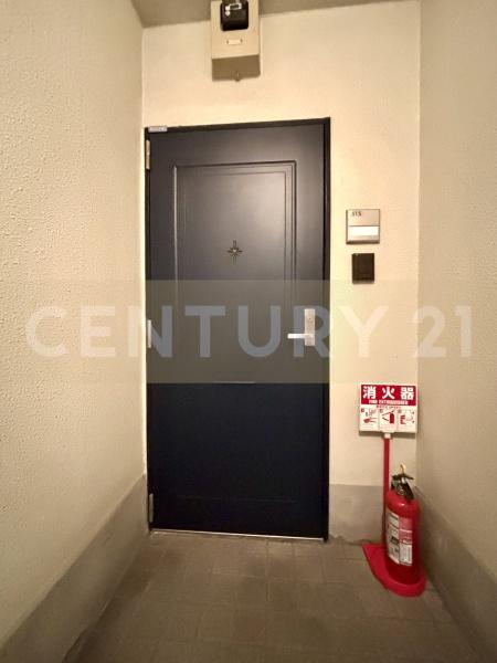 エントランス　※他のお部屋の写真です。