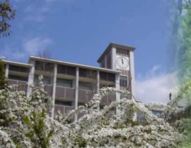 高校・高専　白陵中学校・高等学校（高校・高専）まで3694m