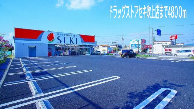 ドラックストア　ドラッグストアセキ（ドラッグストア）まで4800m