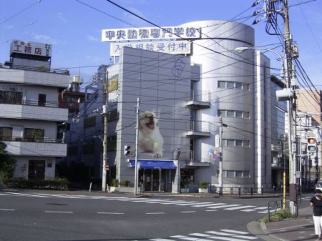 その他　中央動物専門学校（その他）まで714m