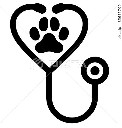 病院　はごろも動物病院（病院）まで253m