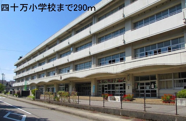小学校　四十万小学校（小学校）まで290m