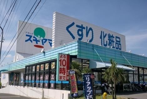 ドラックストア　ドラッグスギヤマ（ドラッグストア）まで1100m