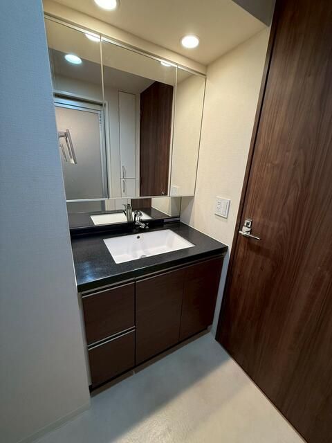 洗面設備　（別タイプ参考写真）リビオレゾン駒込六義園ウエスト　豊島区駒