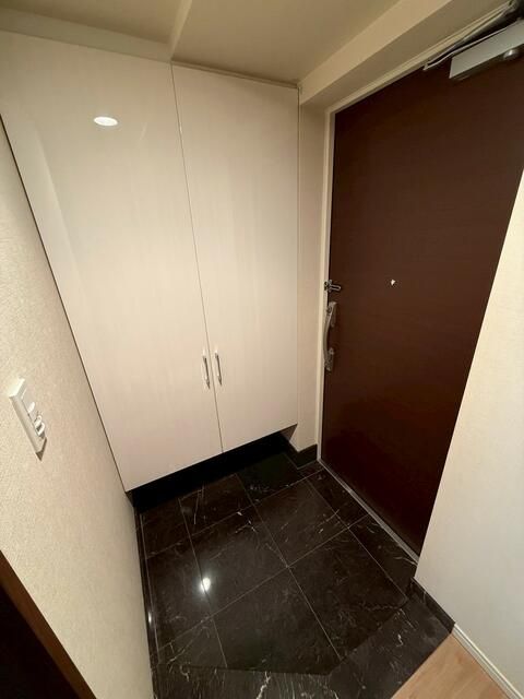 玄関　（別タイプ参考写真）リビオレゾン駒込六義園ウエスト　豊島区駒