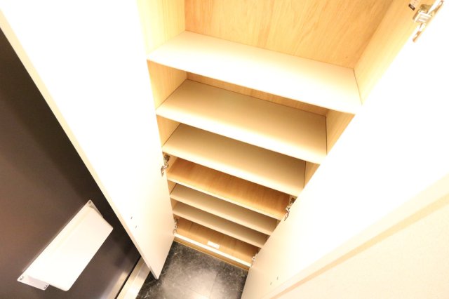 玄関　同タイプの物件写真です。