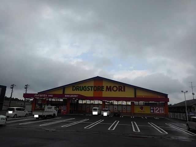 ドラックストア　ドラッグストアモリ小林店（ドラッグストア）まで1900m
