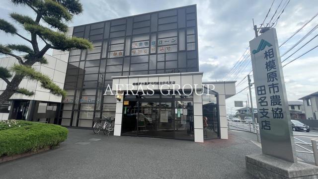 銀行　ＪＡ相模原市 田名支店（銀行）まで1145m