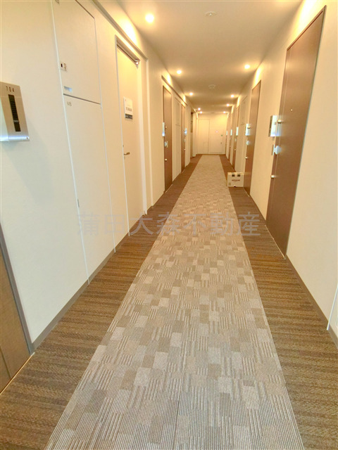 その他共有部分　ホテルのようなカーペット敷の内廊下！