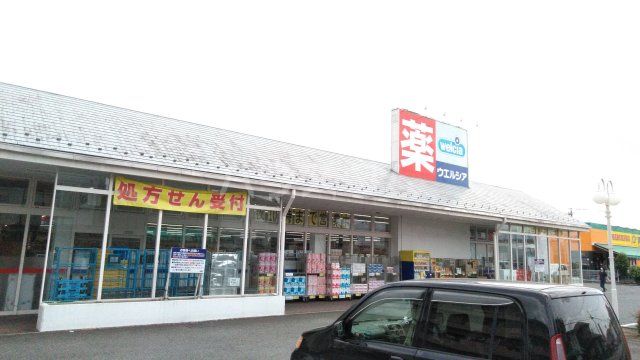 ドラックストア　ウェルシア相模原星が丘店（ドラッグストア）まで986m