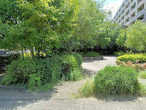 公園　東町くすのき公園（公園）まで1138m