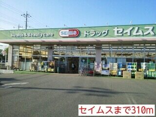 その他　セイムス（その他）まで310m