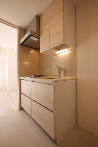 キッチン　ザ・パークハビオ駒込