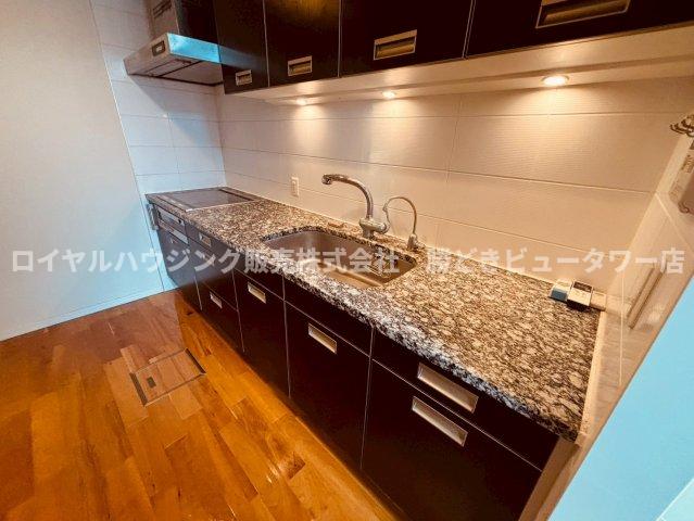 キッチン　浄水器、ディスポーザー、グリル付きのキッチンです