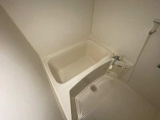 バス・シャワールーム　※別部屋の写真です