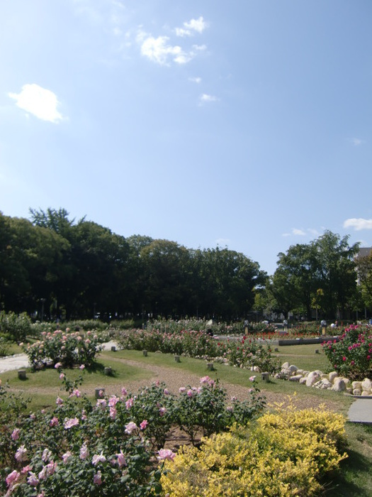 公園　靭公園（公園）まで400m