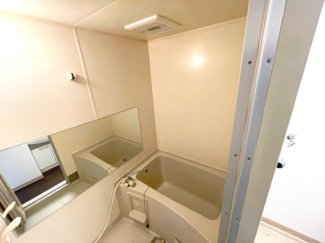 バス・シャワールーム　イメージとして同建物他部屋を表示しています