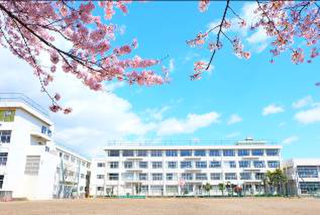 小学校　仙台市立南小泉小学校（小学校）まで445m