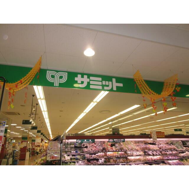 ショッピングセンター　サミットストア綾瀬タウンヒルズ店（ショッピングセンター）まで1508m