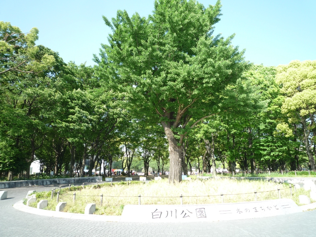 公園　白川公園（公園）まで636m