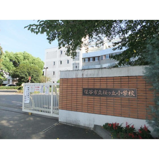 小学校　深谷市立桜ケ丘小学校（小学校）まで729m