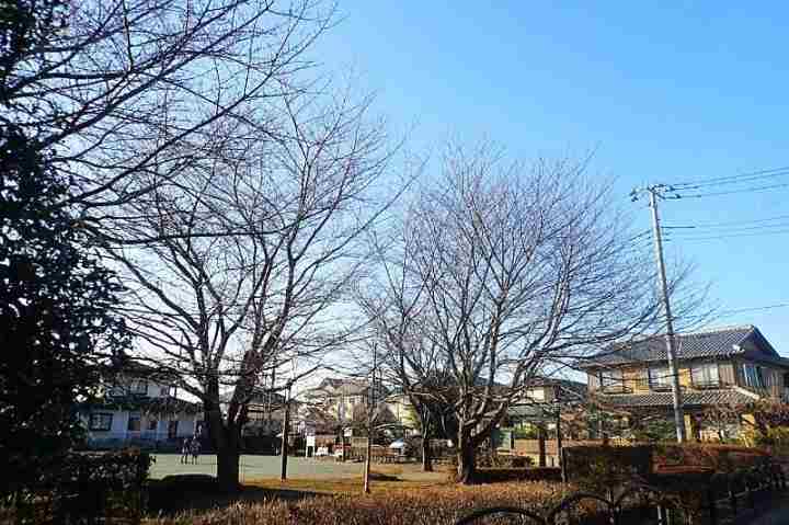 公園　くらやしきにし公園（公園）まで403m