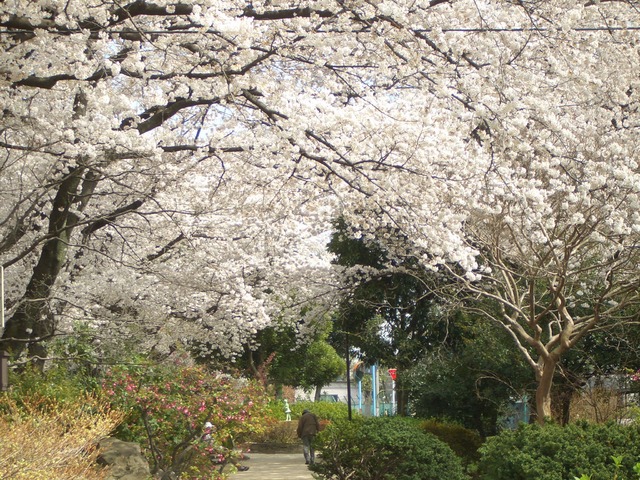 公園　玉川上水第二公園（公園）まで148m