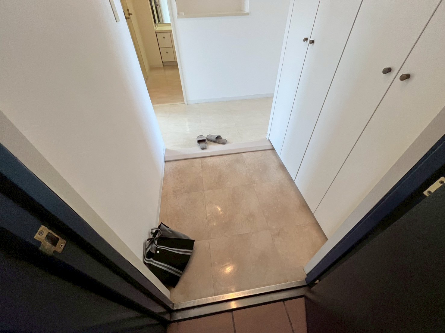 玄関　反転タイプです