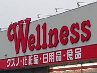 ドラックストア　ドラッグストアウェルネス 出雲中野店（ドラッグストア）まで775m