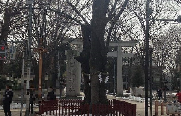 その他　大國魂神社（その他）まで1280m