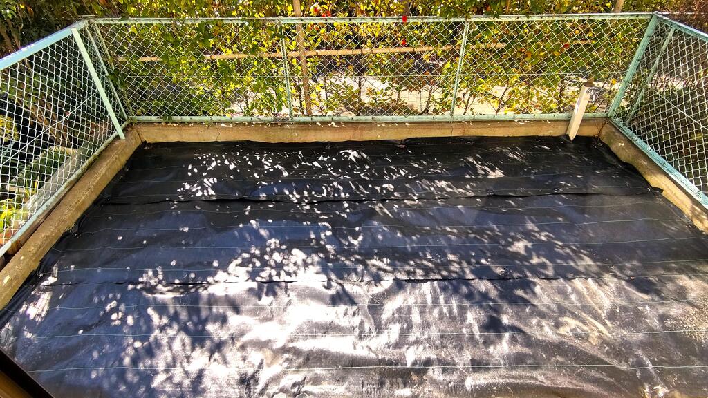 庭　専有庭でガーデニングが楽しめます