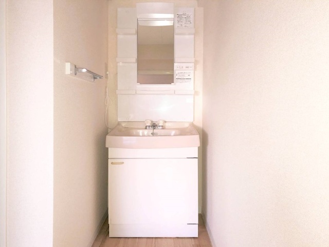 洗面設備　同タイプ別室の写真です