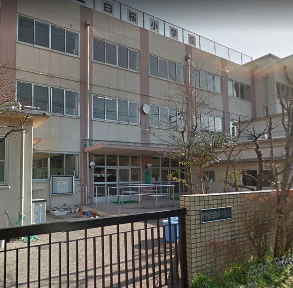 小学校　中野区立白桜小学校（小学校）まで1072m