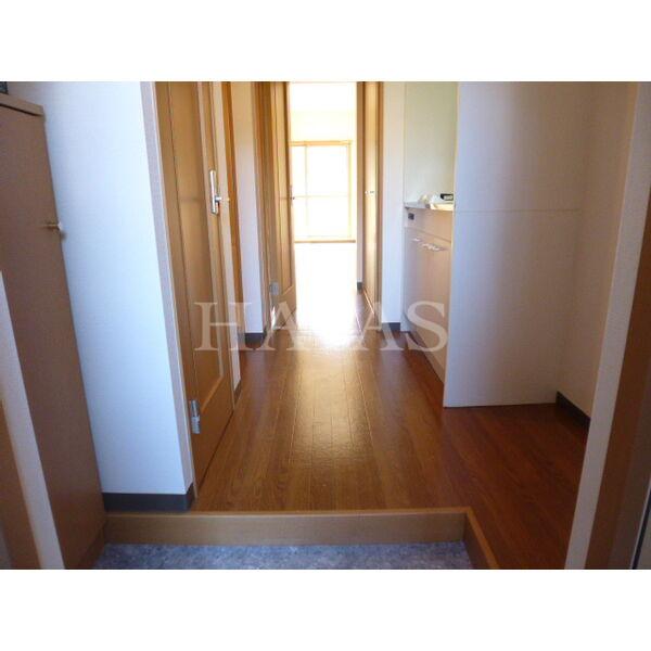 玄関　同物件別部屋です。
