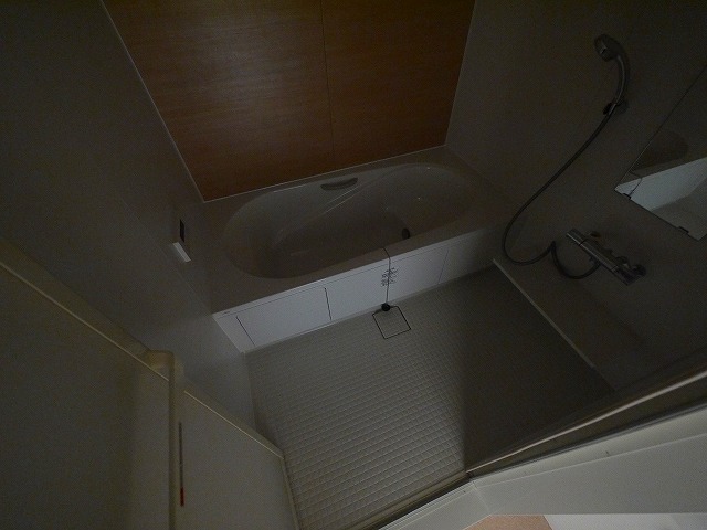 バス・シャワールーム　コンパクトで使いやすいお風呂です