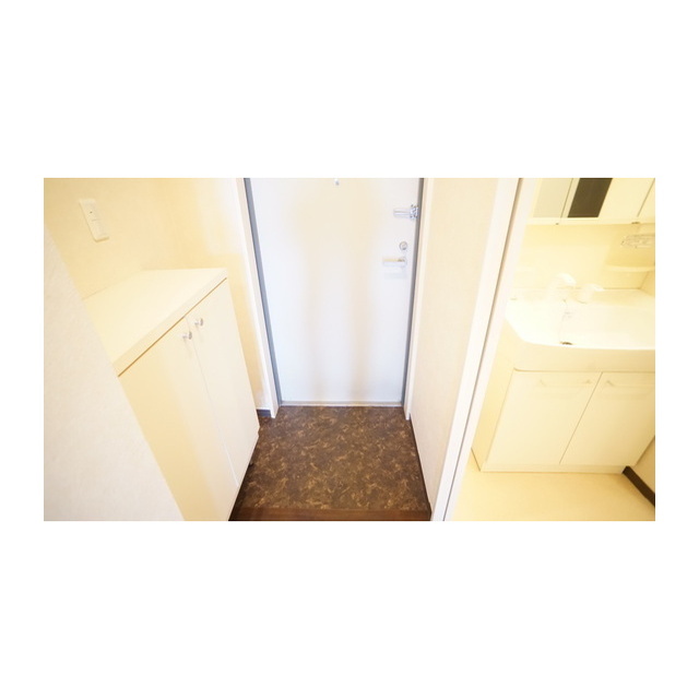 玄関　玄関（同仕様タイプ）